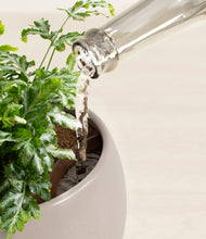 Load image into Gallery viewer, Eternal Gray stand:all