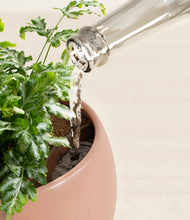 Load image into Gallery viewer, Calm Rose stand:all