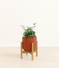 Load image into Gallery viewer, Earth Red stand:bamboo