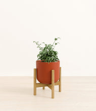 Load image into Gallery viewer, Earth Red stand:bamboo