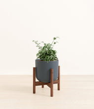 Load image into Gallery viewer, Iron Gray stand:walnut