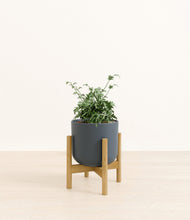 Load image into Gallery viewer, Iron Gray stand:bamboo