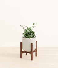 Load image into Gallery viewer, Natural Bamboo stand:walnut