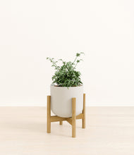 Load image into Gallery viewer, Natural Bamboo stand:bamboo