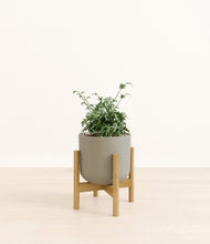 Load image into Gallery viewer, Sage Green stand:bamboo