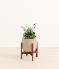 Load image into Gallery viewer, Sandy Pink stand:walnut