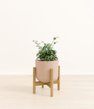 Load image into Gallery viewer, Sandy Pink stand:bamboo