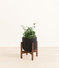 Load image into Gallery viewer, Stone Black stand:walnut