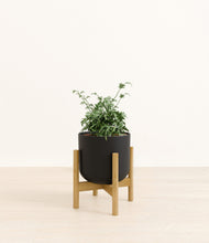 Load image into Gallery viewer, Stone Black stand:bamboo
