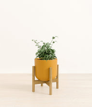Load image into Gallery viewer, Sunset Orange stand:bamboo