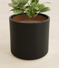 Load image into Gallery viewer, Black stand:all