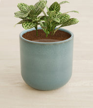 Load image into Gallery viewer, Reactive Aqua stand:all