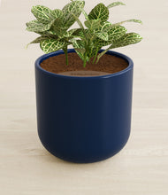 Load image into Gallery viewer, Twilight Blue stand:all