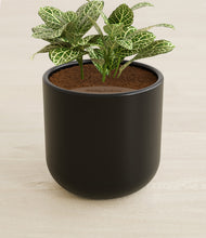 Load image into Gallery viewer, Stone Black stand:all