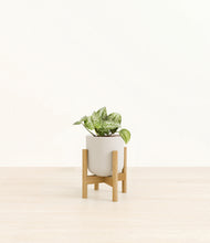 Load image into Gallery viewer, Natural Bamboo stand:bamboo
