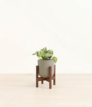 Load image into Gallery viewer, Sage Green stand:walnut