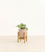 Load image into Gallery viewer, Sandy Pink stand:bamboo