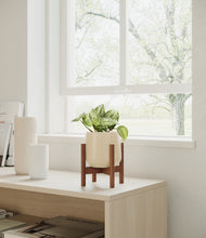 Load image into Gallery viewer, Almond Green stand:walnut