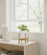 Load image into Gallery viewer, White stand:bamboo