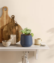 Load image into Gallery viewer, Deep Navy