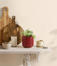 Load image into Gallery viewer, Striped Cherry Red
