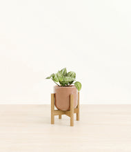 Load image into Gallery viewer, Hammered Peach Pink stand:bamboo
