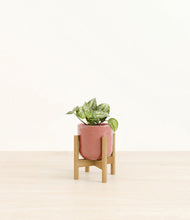 Load image into Gallery viewer, Hammered Rose Pink stand:bamboo