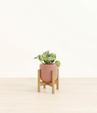 Load image into Gallery viewer, Striped Rose Pink stand:bamboo