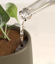 Load image into Gallery viewer, Olive stand:all