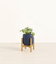 Load image into Gallery viewer, Deep Navy stand:bamboo