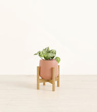 Load image into Gallery viewer, Calm Rose stand:bamboo