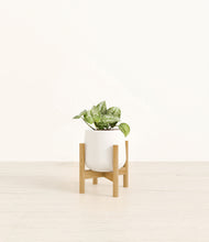Load image into Gallery viewer, White stand:bamboo