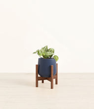 Load image into Gallery viewer, Deep Navy stand:walnut