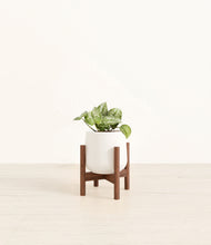 Load image into Gallery viewer, White stand:walnut