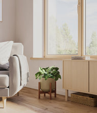 Load image into Gallery viewer, Olive stand:walnut