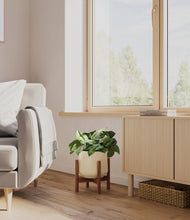 Load image into Gallery viewer, Almond Green stand:walnut