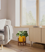 Load image into Gallery viewer, Mustard stand:walnut