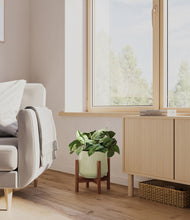 Load image into Gallery viewer, Turquoise stand:walnut