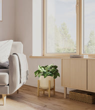 Load image into Gallery viewer, Almond Green stand:bamboo