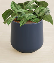 Load image into Gallery viewer, Deep Navy stand:all