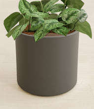 Load image into Gallery viewer, Dark Olive stand:all
