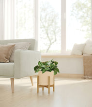 Load image into Gallery viewer, Cream stand:bamboo
