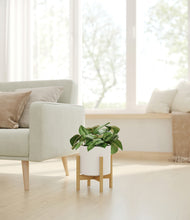 Load image into Gallery viewer, White stand:bamboo