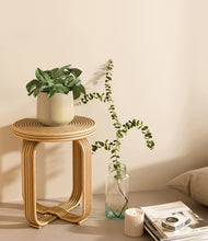 Load image into Gallery viewer, Almond Green
