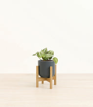 Load image into Gallery viewer, Iron Gray stand:bamboo