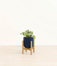 Load image into Gallery viewer, Twilight Blue stand:bamboo