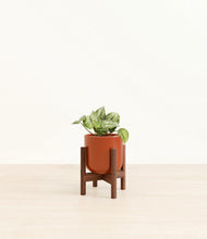 Load image into Gallery viewer, Glossy Red stand:walnut