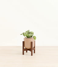 Load image into Gallery viewer, Glossy Pink stand:walnut