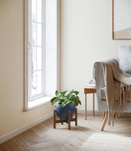 Load image into Gallery viewer, Deep Navy stand:walnut