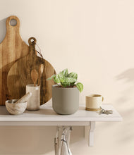 Load image into Gallery viewer, Sage Green